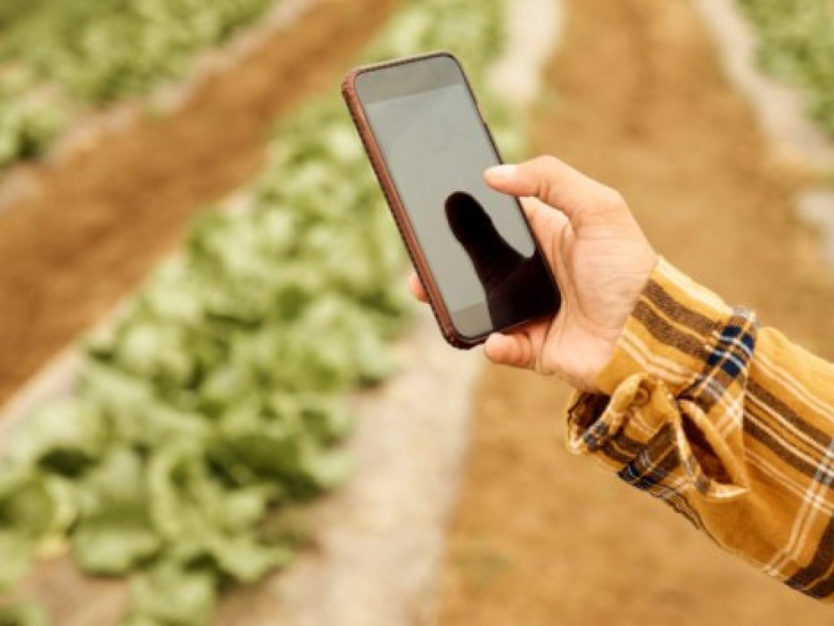 Αγροτικά προϊόντα: Πώς θα λειτουργεί η εφαρμογή Agro-Verify