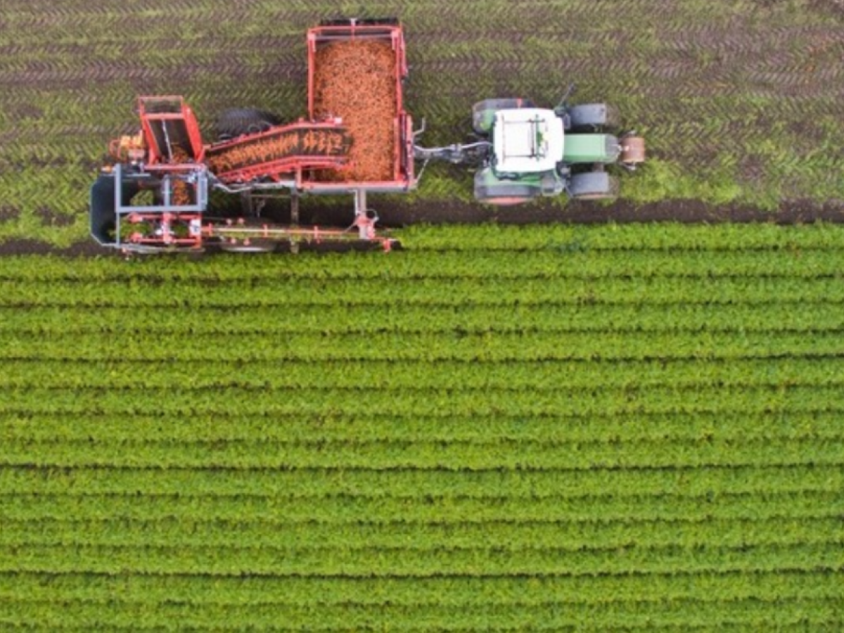 Αγροτική Πολιτική: Η στρατηγική της Ελλάδας για το νέο ΠΔΠ και οι πρόσθετες χρηματοδοτήσεις