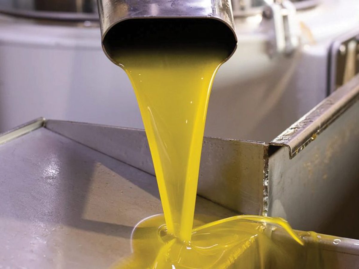 Ανακοινώθηκαν τα αποτελέσματα του διαγωνισμού ποιότητας ελαιολάδου «ΟΜΦΑΚΙΟΝ 2025»