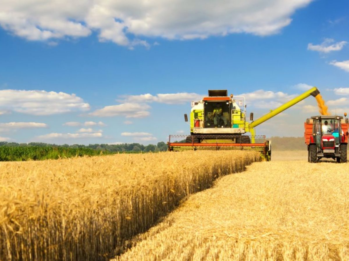 Ανέβηκε ο δείκτης τιμών FAO για το σύνολο 2025 παρά τις μειώσεις στο τέλος