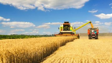 Ανέβηκε ο δείκτης τιμών FAO για το σύνολο 2025 παρά τις μειώσεις στο τέλος