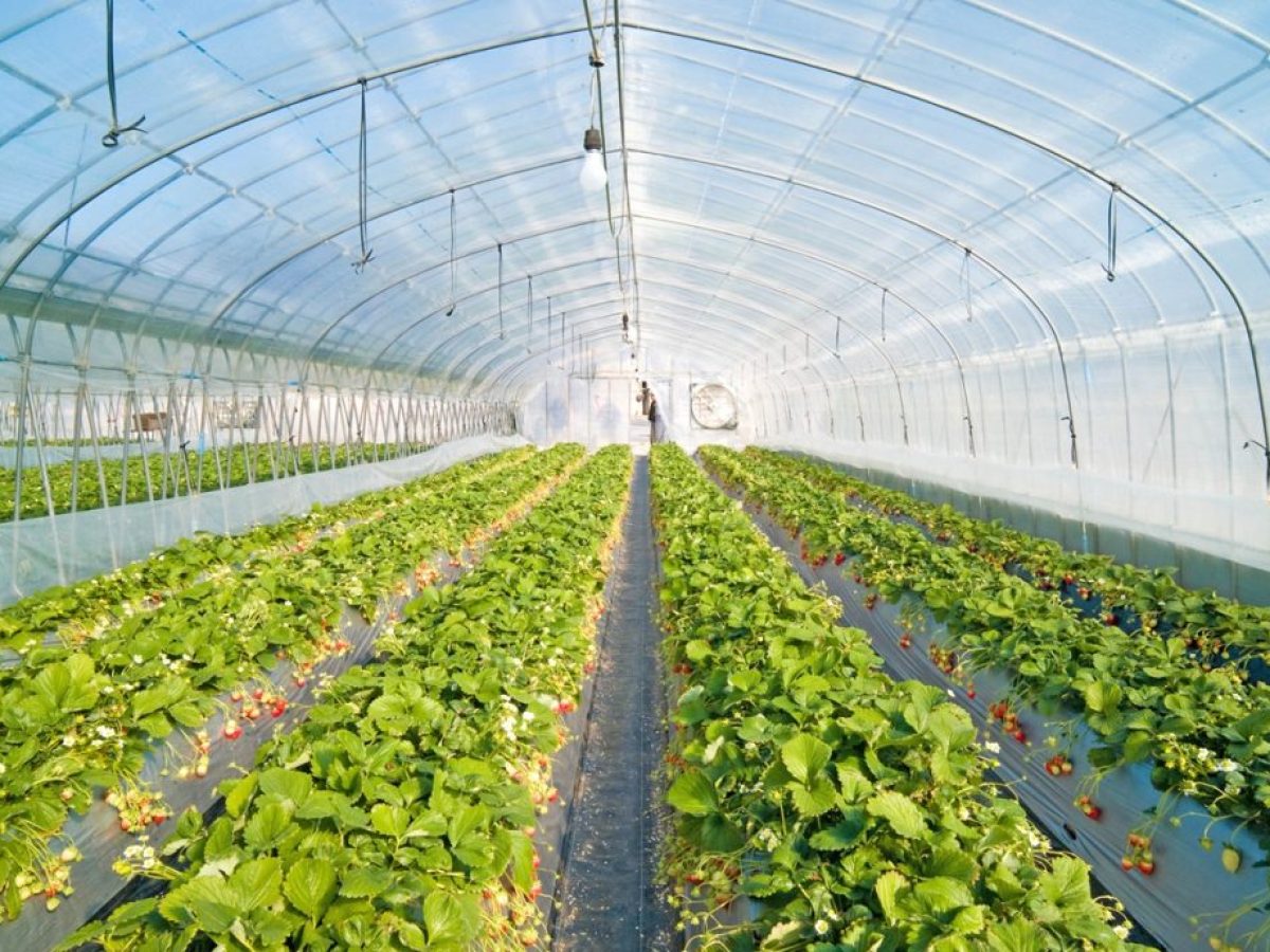 Αντίστροφη μέτρηση για τα νέα  Σχέδια Βελτίωσης στην Πελοπόννησο