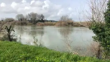 &Alpha;&nu;&alpha;&kappa;&omicron;ί&nu;&omega;&sigma;&eta; &Gamma;.&Epsilon;.&Delta;. &Delta;&upsilon;&tau;&iota;&kappa;ή&sigmaf; &Epsilon;&lambda;&lambda;ά&delta;&alpha;&sigmaf; &sigma;&chi;&epsilon;&tau;&iota;&kappa;ά &mu;&epsilon; έ&nu;&tau;&omicron;&nu;&alpha; &kappa;&alpha;&iota;&rho;&iota;&kappa;ά &phi;&alpha;&iota;&nu;ό&mu;&epsilon;&nu;&alpha;