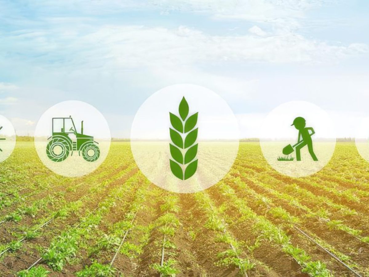 MIXED: Δημοσίευση 35 πρακτικών οδηγών για βιώσιμα και ανθεκτικά συστήματα παραγωγής