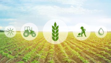 MIXED: Δημοσίευση 35 πρακτικών οδηγών για βιώσιμα και ανθεκτικά συστήματα παραγωγής