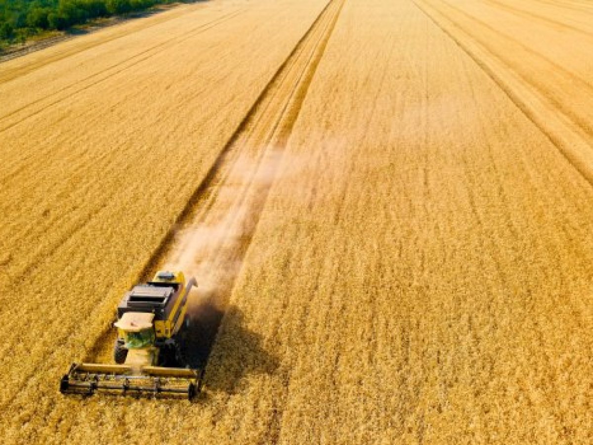 RENURE: H EE προωθεί λιπάσματα από κοπριά για να περιορίσει τη χημική ρύπανση