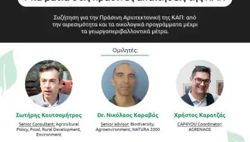 Webinar &ndash; &Mu;&iota;&alpha; &mu;&alpha;&tau;&iota;ά &sigma;&tau;&iota;&sigmaf; &pi;&rho;ά&sigma;&iota;&nu;&epsilon;&sigmaf; &alpha;&pi;&alpha;&iota;&tau;ή&sigma;&epsilon;&iota;&sigmaf; &tau;&eta;&sigmaf; &Kappa;&Alpha;&Pi; (&Pi;&rho;ά&sigma;&iota;&nu;&eta; &Alpha;&rho;&chi;&iota;&tau;&epsilon;&kappa;&tau;&omicron;&nu;&iota;&kappa;ή)