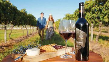 Αύξηση-ρεκόρ στις εισαγωγές φθηνού οίνου το 2025 – Ξεπέρασαν για δεύτερη χρονιά τις εξαγωγές