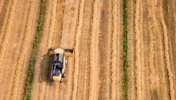 Δίχτυ και σπάγγος χορτοδεσίας; Οδηγός για την επόμενη σοδειά