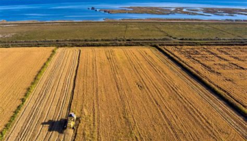 Διευκρίνιση για την υποβολή υπεύθυνων δηλώσεων για κυριότητα αγροτεμαχίων μέσω ΚΑΕΚ