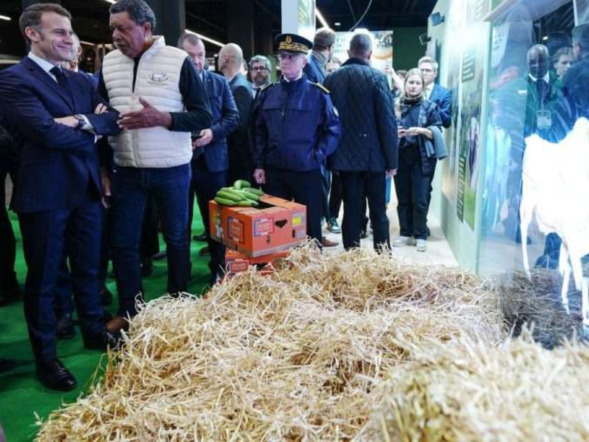 Διεθνής Αγροτική Έκθεση Παρισιού: Χωρίς αγελάδες, χωρίς συνδικάτα και με φόντο τις εντάσεις