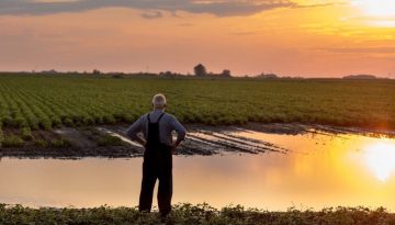 Δήλωση Αποθεμάτων Μετάταξης – Προθεσμία έως 28/02