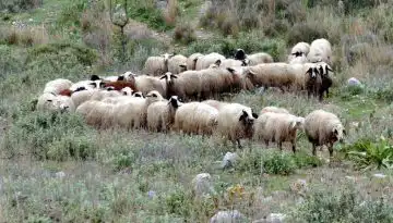 &Delta;ύ&omicron; &nu;έ&epsilon;&sigmaf; &sigma;&upsilon;&lambda;&lambda;ή&psi;&epsilon;&iota;&sigmaf; &sigma;&tau;&eta; &Theta;&epsilon;&sigma;&sigma;&alpha;&lambda;ί&alpha; &gamma;&iota;&alpha; &pi;&alpha;&rho;&alpha;&beta;ί&alpha;&sigma;&eta; &mu;έ&tau;&rho;&omega;&nu; &epsilon;&upsilon;&lambda;&omicron;&gamma;&iota;ά&sigmaf;