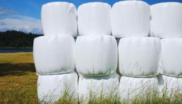 Ενσίρωση Ζωοτροφών: Ιδανικός Χρόνος, Στάδια & Φιλμ Ενσίρωσης