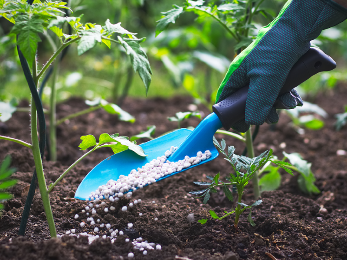 ΕΕ: Νέοι κανόνες για τα λιπάσματα RENURE