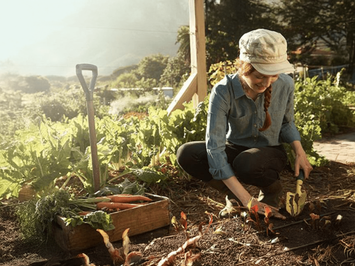 ΕΕ: Νέοι κανόνες για την προστασία των αγροτών από αθέμιτες εμπορικές πρακτικές