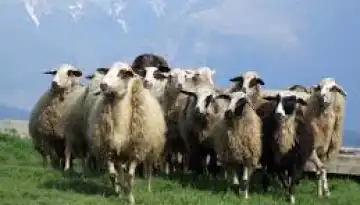 &Epsilon;&Epsilon;&Epsilon;&Delta;&Epsilon;&Epsilon;: &Epsilon;&pi;&iota;&kappa;&alpha;&iota;&rho;&omicron;&pi;&omicron;&iota;&eta;&mu;έ&nu;&alpha; &sigma;&upsilon;&gamma;&kappa;&epsilon;&nu;&tau;&rho;&omega;&tau;&iota;&kappa;ά &sigma;&tau;&omicron;&iota;&chi;&epsilon;ί&alpha; &gamma;&iota;&alpha; &tau;&eta;&nu; &pi;&omicron;&rho;&epsilon;ί&alpha; &tau;&eta;&sigmaf; &epsilon;&upsilon;&lambda;&omicron;&gamma;&iota;ά&sigmaf; &sigma;&tau;&eta; &chi;ώ&rho;&alpha;