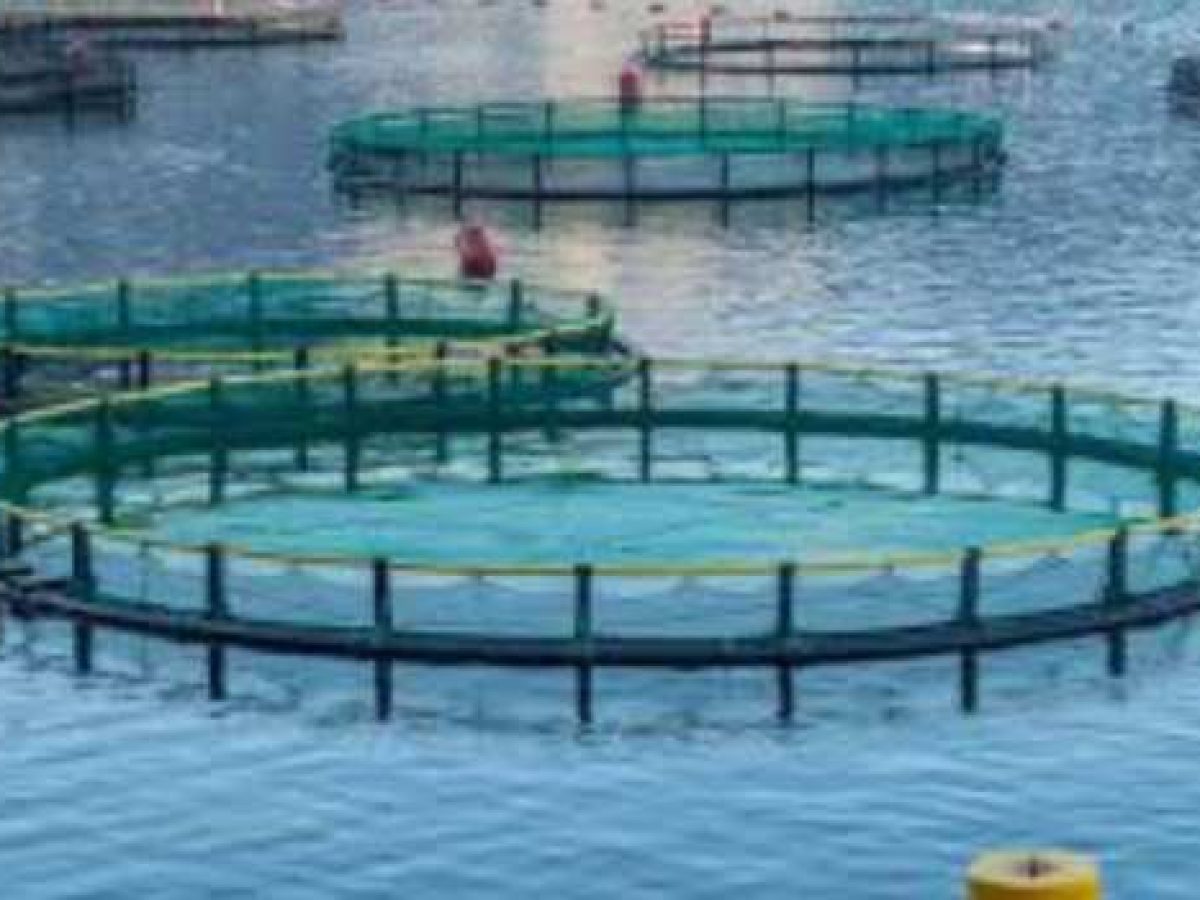 ΕΕΚΕ: Χωροταξική oργάνωση για την ελληνική θαλάσσια υδατοκαλλιέργεια