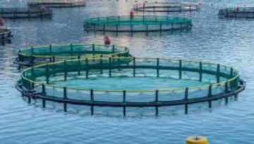 ΕΕΚΕ: Χωροταξική oργάνωση για την ελληνική θαλάσσια υδατοκαλλιέργεια