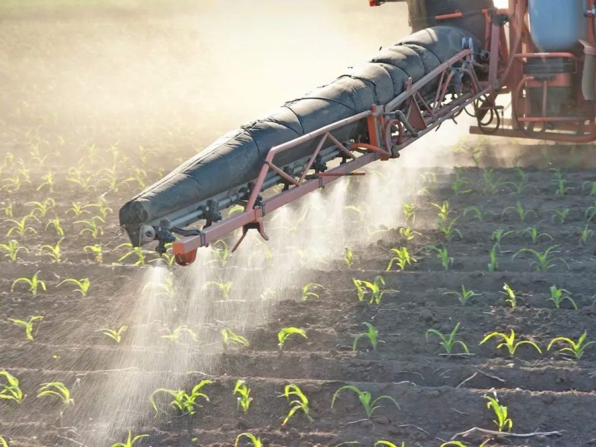 ΕΛΣΤΑΤ: Μικρή αύξηση στον δείκτη εισροών τον μήνα Νοέμβριο