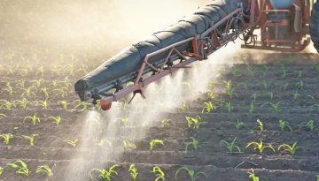 ΕΛΣΤΑΤ: Μικρή αύξηση στον δείκτη εισροών τον μήνα Νοέμβριο