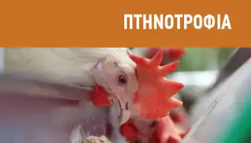 Έ&pi;&iota;&alpha;&sigma;&epsilon; &tau;&alpha; 30 &kappa;&iota;&lambda;ά &eta; &epsilon;&tau;ή&sigma;&iota;&alpha; &kappa;&alpha;&tau;&alpha;&nu;ά&lambda;&omega;&sigma;&eta; &sigma;&tau;&omicron; &kappa;&omicron;&tau;ό&pi;&omicron;&upsilon;&lambda;&omicron;, &sigma;&epsilon; &mu;&epsilon;&gamma;έ&theta;&upsilon;&nu;&sigma;&eta; &eta; &pi;&tau;&eta;&nu;&omicron;&tau;&rho;&omicron;&phi;ί&alpha;