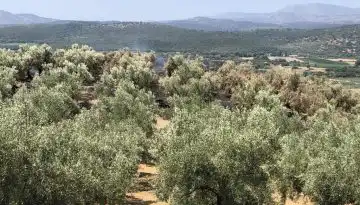 &Epsilon;&pi;&iota;&chi;&omicron;&rho;ή&gamma;&eta;&sigma;&eta; &pi;&lambda;&eta;&gamma;έ&nu;&tau;&omega;&nu; &alpha;&pi;ό &pi;&upsilon;&rho;&kappa;&alpha;&gamma;&iota;έ&sigmaf;
