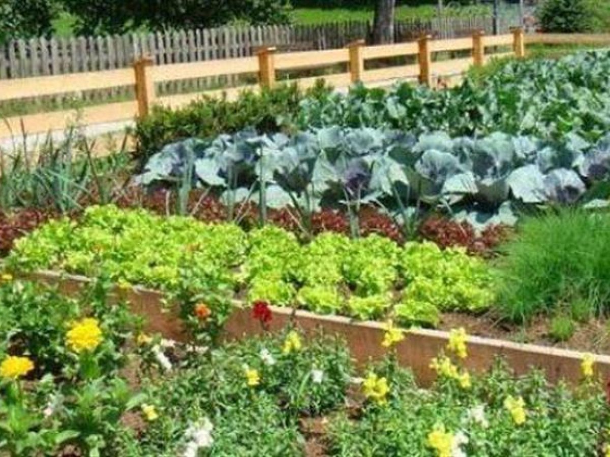 Επικεφαλής της εκπαιδευτικής μεταρρύθμισης στην κηπευτική ο Δρ. Owen Doyle