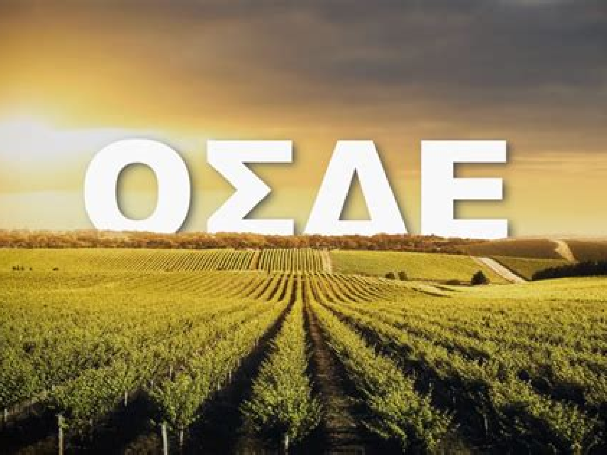 Επίσημη ανακοίνωση ΑΑΔΕ για ΟΣΔΕ