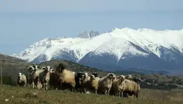&Epsilon;&pi;&iota;&sigma;&tau;&eta;&mu;&omicron;&nu;&iota;&kappa;ή &tau;&omicron;&pi;&omicron;&theta;έ&tau;&eta;&sigma;&eta; &tau;&eta;&sigmaf; &Epsilon;&theta;&nu;&iota;&kappa;ή&sigmaf; &Epsilon;&pi;&iota;&sigma;&tau;&eta;&mu;&omicron;&nu;&iota;&kappa;ή&sigmaf; &Epsilon;&pi;&iota;&tau;&rho;&omicron;&pi;ή&sigmaf; &Delta;&iota;&alpha;&chi;&epsilon;ί&rho;&iota;&sigma;&eta;&sigmaf; &kappa;&alpha;&iota; &Epsilon;&lambda;έ&gamma;&chi;&omicron;&upsilon; &tau;&eta;&sigmaf; &Epsilon;&upsilon;&lambda;&omicron;&gamma;&iota;ά&sigmaf; &tau;&omega;&nu; &Alpha;&iota;&gamma;&omicron;&pi;&rho;&omicron;&beta;ά&tau;&omega;&nu; &epsilon;&pi;ί &tau;&eta;&sigmaf;
