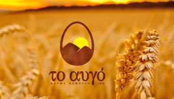 Ευοίωνες οι προβλέψεις για την πορεία των αυγών από την Αρκαδία