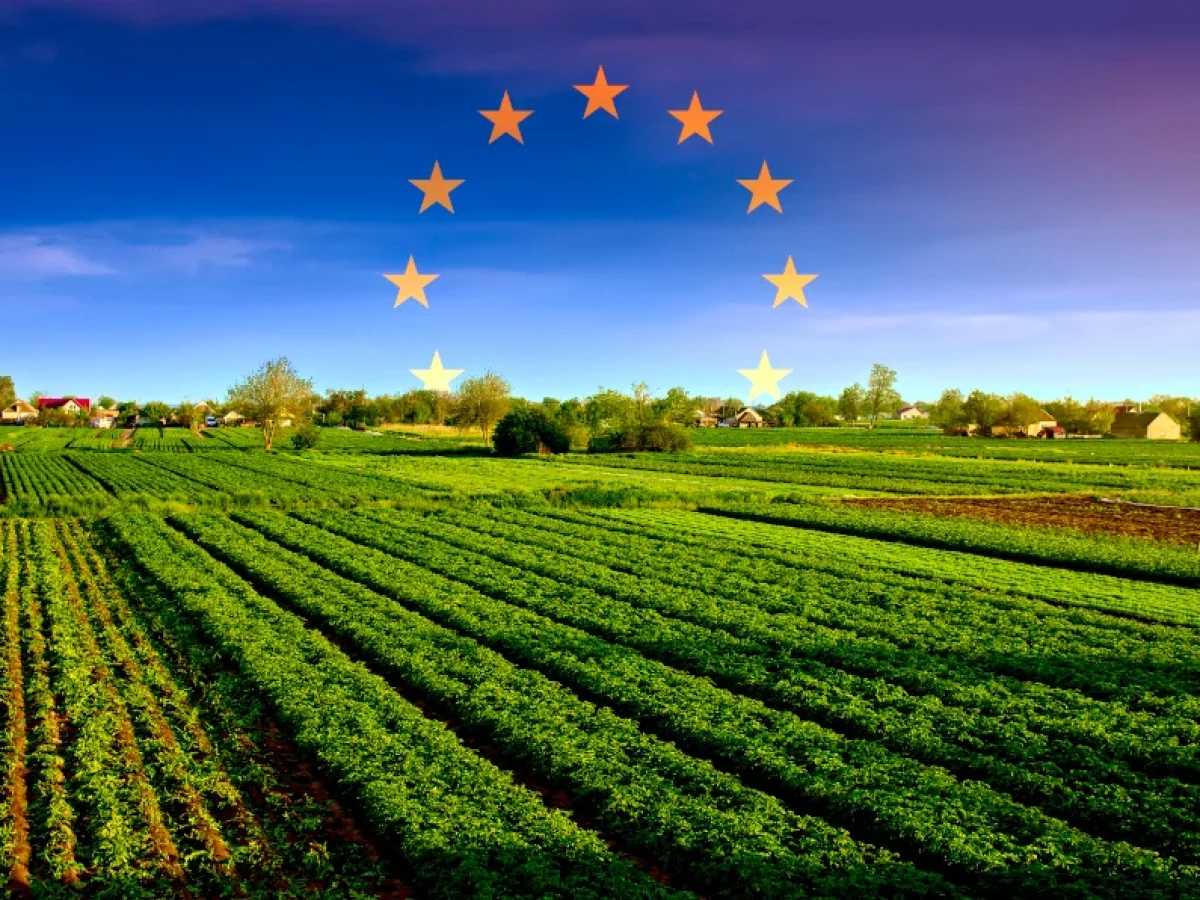 Ευρωπαϊκό ταμείο για αποζημιώσεις από φυσικές καταστροφές