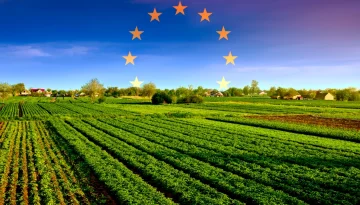 Ευρωπαϊκό ταμείο για αποζημιώσεις από φυσικές καταστροφές