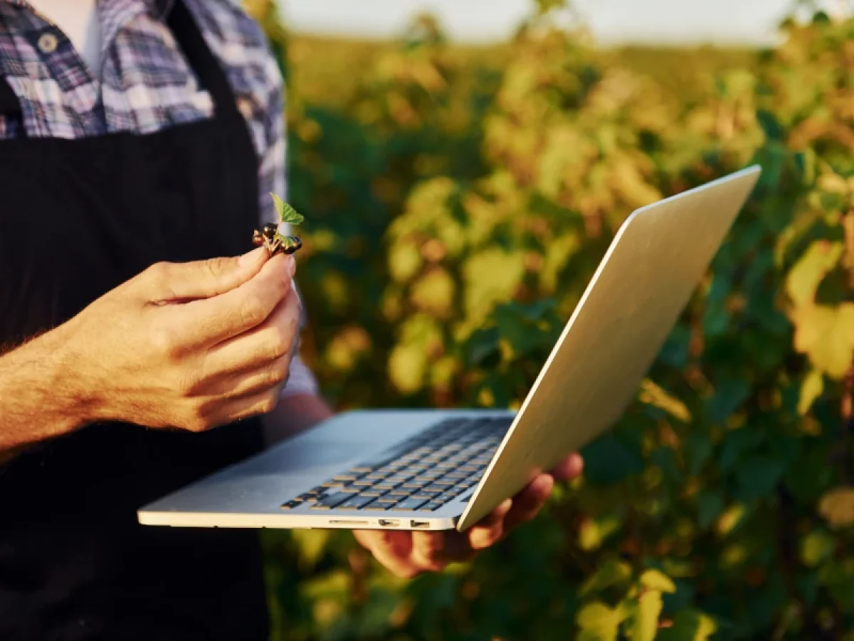 ΕΑΕ – Οι 33 κωδικοί ευρημάτων που μπορούν να διορθωθούν