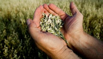 Η γεωργία κρατά όρθια την Ελλάδα