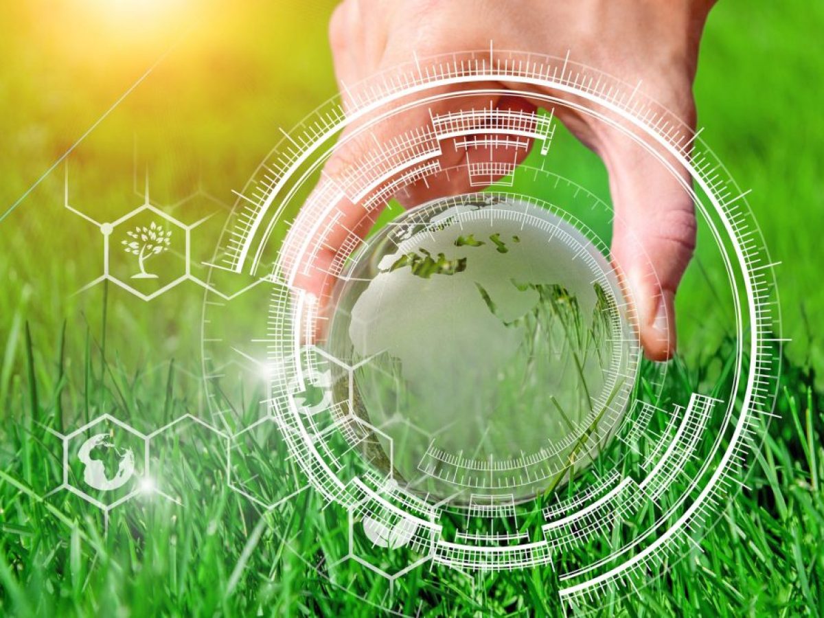 Η νέα στρατηγική της ΕΕ για τη βιοοικονομία και το στοίχημα της βιώσιμης ανάπτυξης