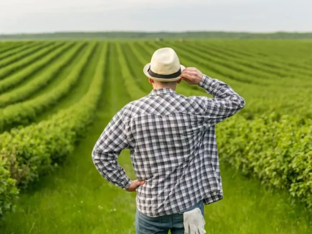 Ηλεκτρονική Τιμολόγηση: Λήγει η προθεσμία για τους αγρότες – Τα πρόστιμα και οι επιλογές