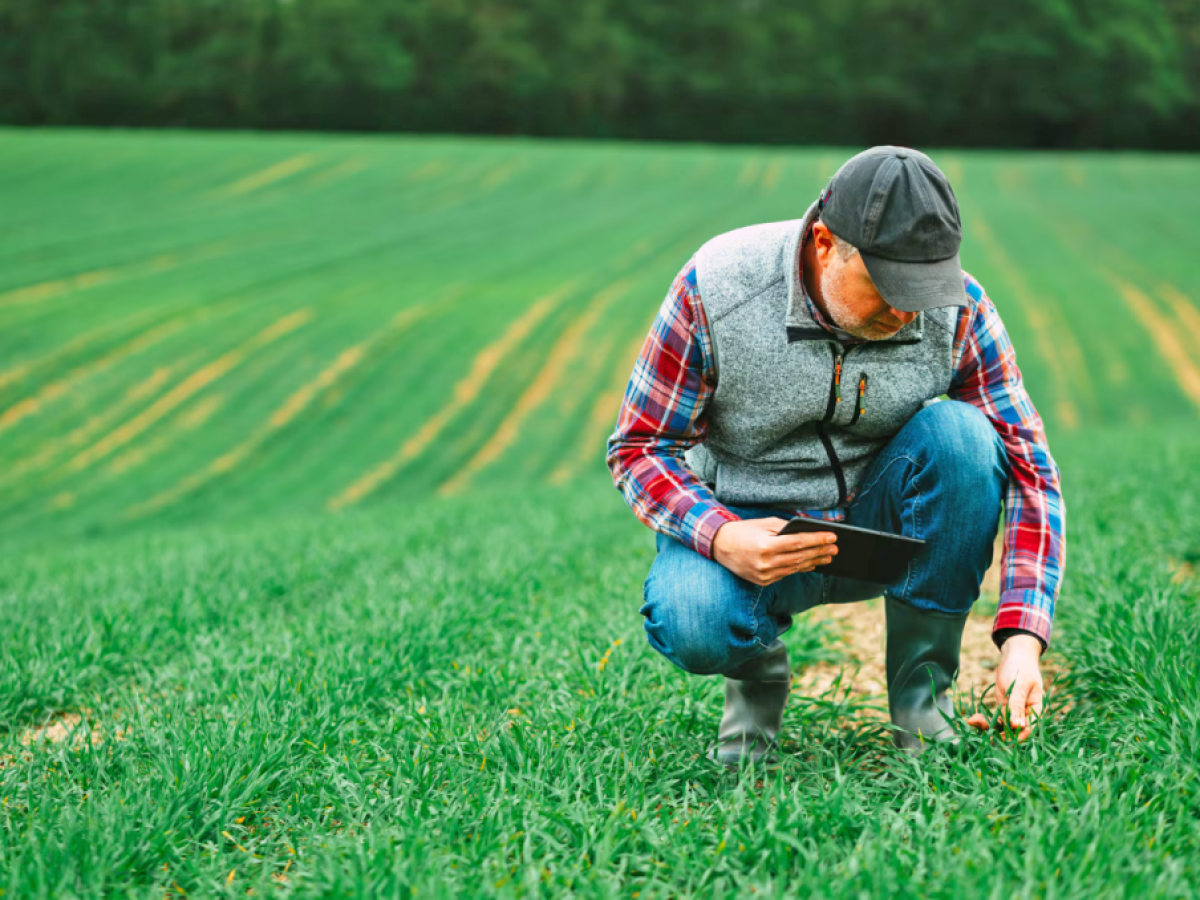 Ηνωμένο Βασίλειο: Επενδύει περισσότερα από 1 εκατ. λίρες για καινοτομία, ανθεκτικότητα και νέες καλλιέργειες