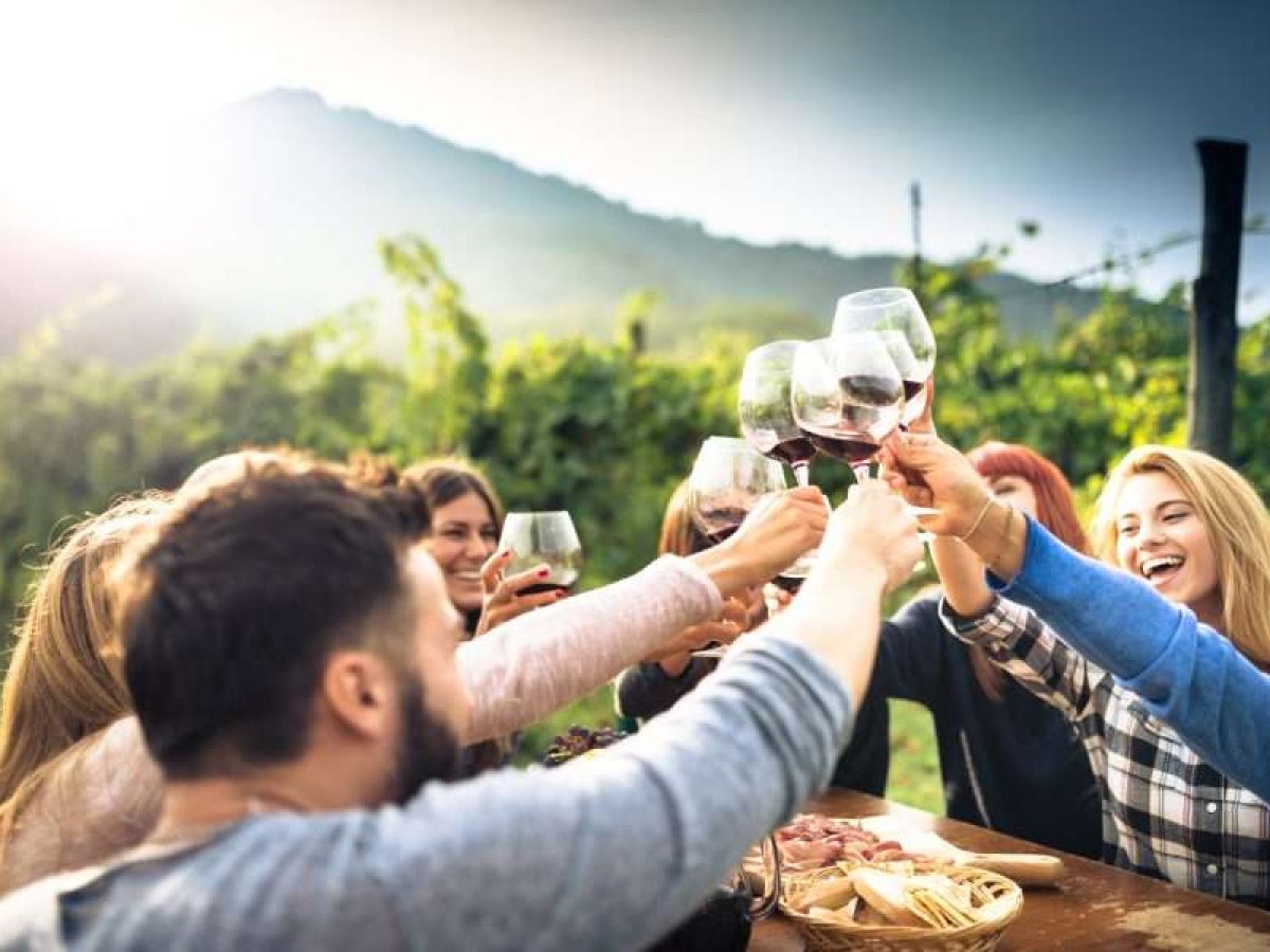 Οινοτουρισμός ή συρρίκνωση: Το στοίχημα επιβίωσης για τον μικρό Έλληνα οινοποιό