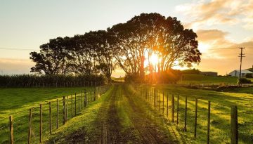 ΥπΑΑΤ: Παράταση έως 31 Δεκεμβρίου 2026 για χρηματοδότηση και αγροτικά ακίνητα