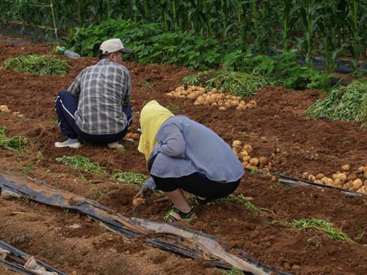 Κεφαλογιάννης: Στηρίζουμε το εισόδημα και την αξιοπρέπεια του Ευρωπαίου αγρότη
