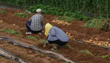 &Kappa;&epsilon;&phi;&alpha;&lambda;&omicron;&gamma;&iota;ά&nu;&nu;&eta;&sigmaf;: &Sigma;&tau;&eta;&rho;ί&zeta;&omicron;&upsilon;&mu;&epsilon; &tau;&omicron; &epsilon;&iota;&sigma;ό&delta;&eta;&mu;&alpha; &kappa;&alpha;&iota; &tau;&eta;&nu; &alpha;&xi;&iota;&omicron;&pi;&rho;έ&pi;&epsilon;&iota;&alpha; &tau;&omicron;&upsilon; &Epsilon;&upsilon;&rho;&omega;&pi;&alpha;ί&omicron;&upsilon; &alpha;&gamma;&rho;ό&tau;&eta;