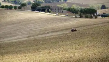 &Kappa;ό&kappa;&kappa;&alpha;&lambda;&eta;&sigmaf;: Ά&mu;&epsilon;&sigma;&eta; &pi;&alpha;&rho;ά&tau;&alpha;&sigma;&eta; &sigma;&tau;&eta; &delta;&iota;&alpha;&delta;&iota;&kappa;&alpha;&sigma;ί&alpha; &delta;&iota;&omicron;&rho;&theta;ώ&sigma;&epsilon;&omega;&nu; &Omicron;&Sigma;&Delta;&Epsilon; 2025 &zeta;&eta;&tau;&omicron;ύ&nu; &omicron;&iota; &phi;&omicron;&rho;&epsilon;ί&sigmaf; &alpha;&gamma;&rho;&omicron;&tau;&iota;&kappa;ή&sigmaf; &sigma;&upsilon;&mu;&beta;&omicron;&upsilon;&lambda;&epsilon;&upsilon;&tau;&iota;&kappa;ή&sigmaf;