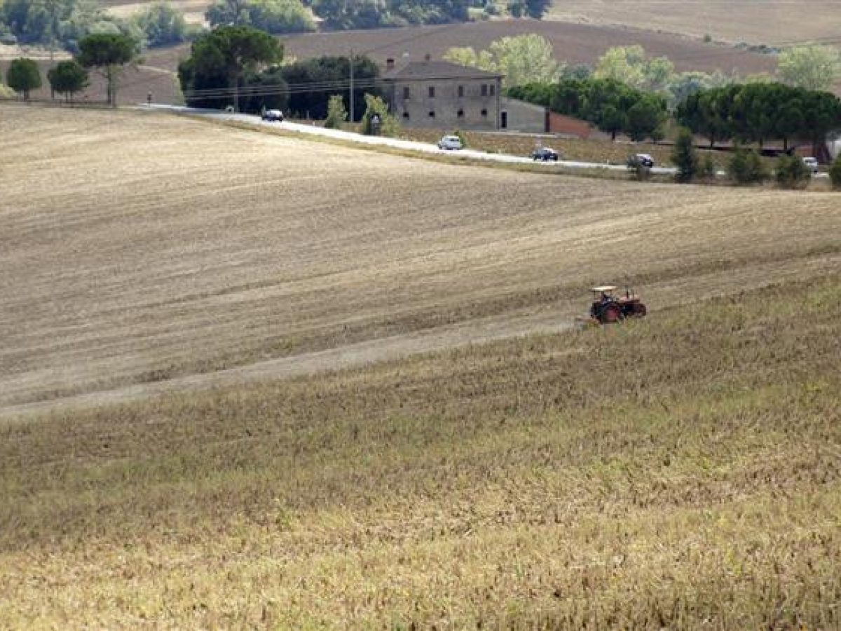 Κόκκαλης: Άμεση παράταση στη διαδικασία διορθώσεων ΟΣΔΕ 2025 ζητούν οι φορείς αγροτικής συμβουλευτικής