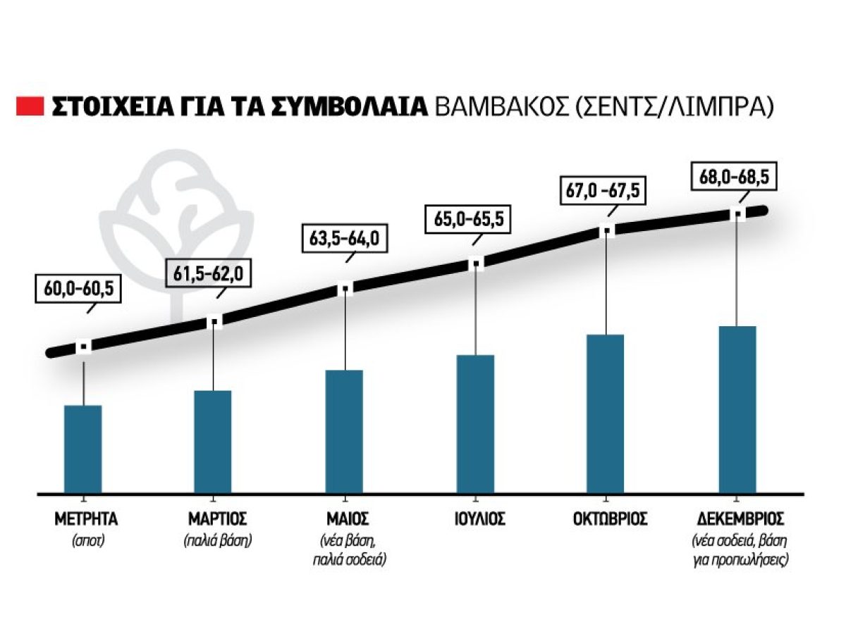 Κρατικός προστατευτισμός και αποθέματα αναβάλλουν την αντίδραση στο βαμβάκι