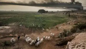 &Kappa;&rho;ί&sigma;&iota;&mu;&eta; &sigma;&upsilon;&nu;έ&lambda;&epsilon;&upsilon;&sigma;&eta; &pi;&alpha;&rho;&alpha;&gamma;&omega;&gamma;ώ&nu; &sigma;&tau;&eta;&nu; &Alpha;&lambda;&epsilon;&xi;&alpha;&nu;&delta;&rho;&omicron;ύ&pi;&omicron;&lambda;&eta;