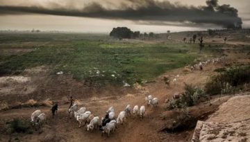 Κρίσιμη συνέλευση παραγωγών στην Αλεξανδρούπολη