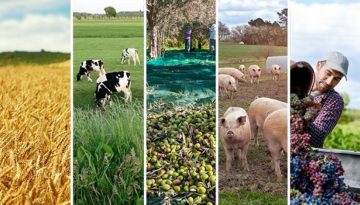 ΚΑΠ 2028: Χρηματοδότηση ή χάος;