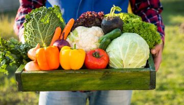 Λήγει η προθεσμία για ανανέωση εγγραφής στο ΜΕΝΟ