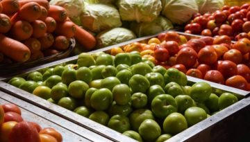 Λήγει η προθεσμία για την ανανέωση εγγραφής στο Μητρώο Εμπόρων Νωπών Οπωροκηπευτικών (ΜΕΝΟ)